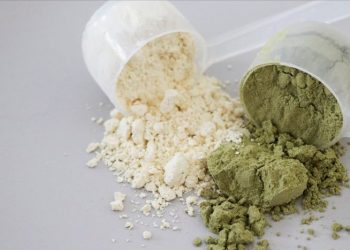 whey and vegetable protein powder