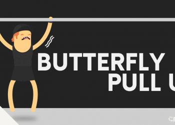 Butterfly pull ups