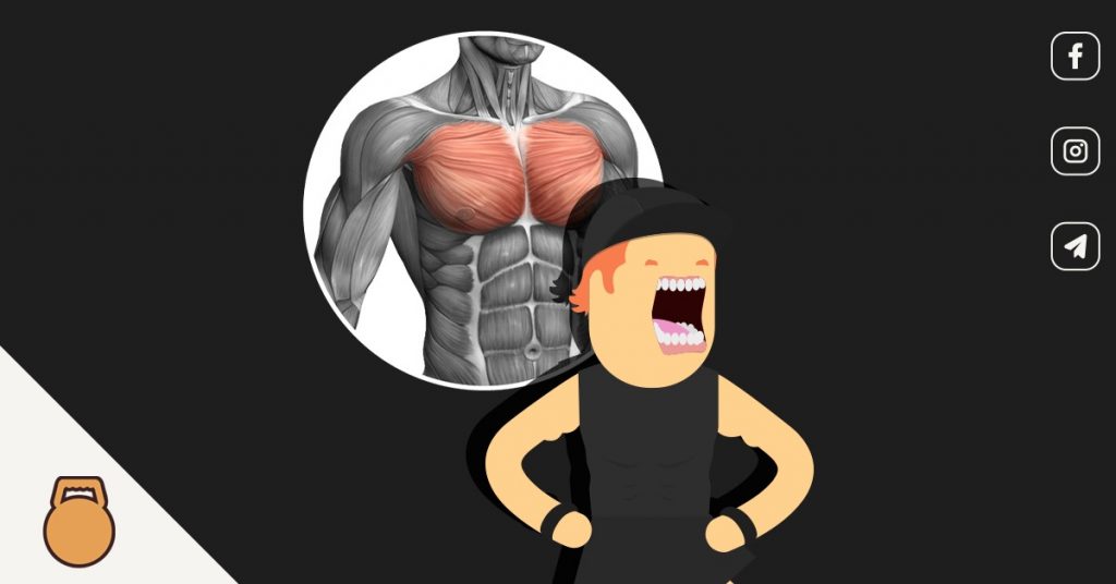 Chest mass: training exercises and how to use them