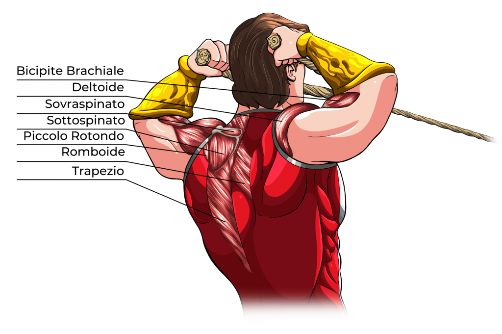 face-pull